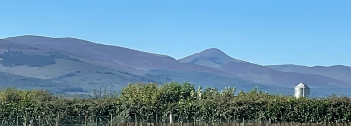 Photo of Masterstown, New Inn, Cashel, Co. Tipperary, E25FW64