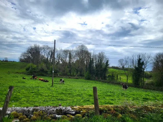Photo of Site SPP Bunrawer, Ayle, Westport, Co Mayo