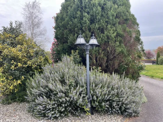 Photo of Aigna, Roperstown, Oilgate, Enniscorthy, Co. Wexford, Y21 EK25