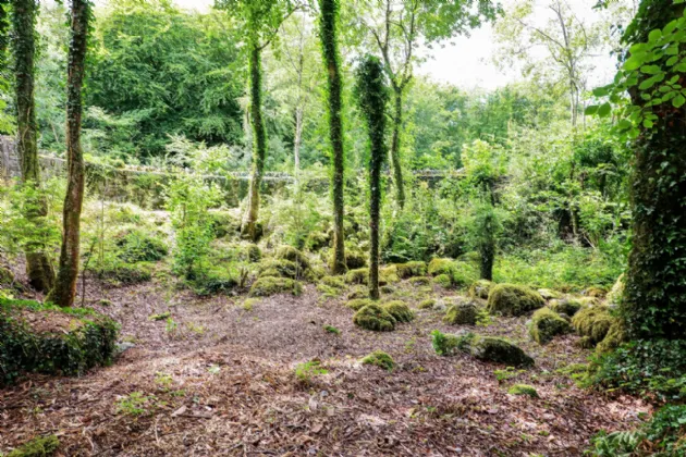 Photo of Belwood, Ballynahallia, Moycullen, Co. Galway, H91 C5PN