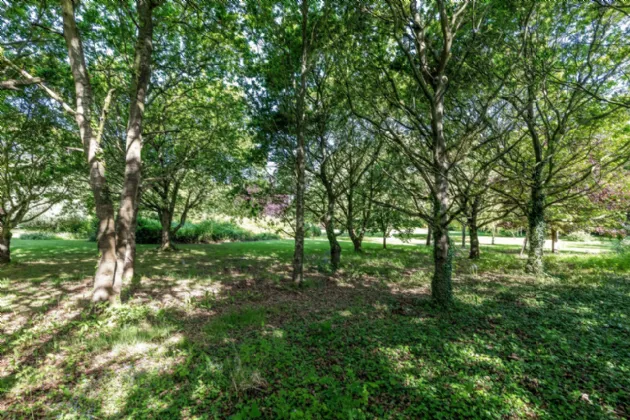 Photo of Westpalstown, Oldtown, Co Dublin, A45 HR83