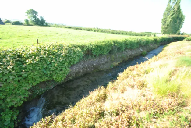 Photo of Timeighter, Roscrea, Co. Tipperary
