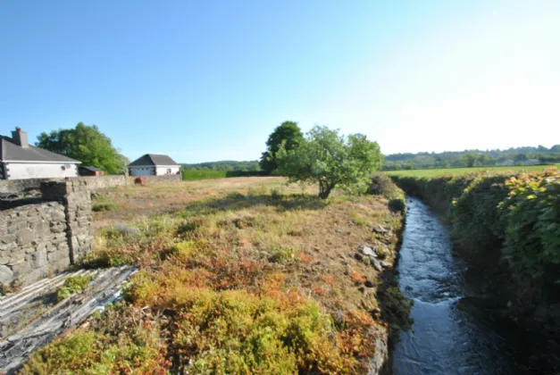 Photo of Timeighter, Roscrea, Co. Tipperary