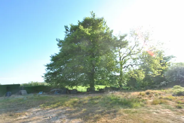 Photo of Timeighter, Roscrea, Co. Tipperary