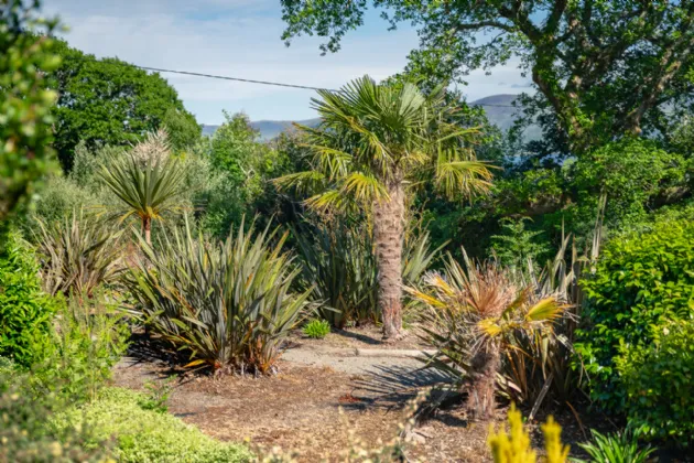 Photo of Cappanacush East, Greenane, Kenmare, Co. Kerry, V93 E8W8