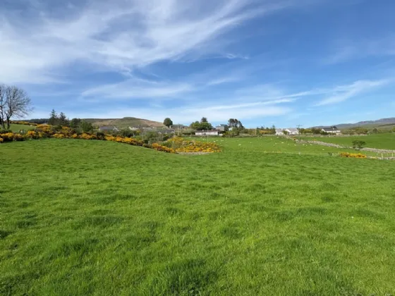 Photo of 3.5 Acres Grazing Lands, Jenkinstown, Co. Louth