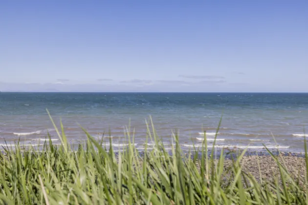 Photo of The Laurels, Seapoint, Balbriggan, Co. Dublin, K32ED71