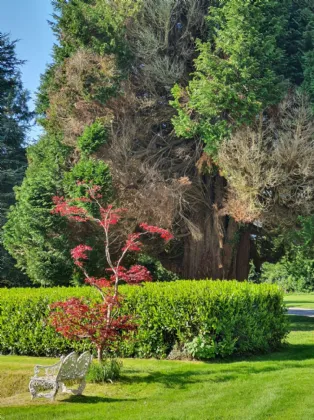 Photo of Assolas House, Kanturk, County Cork, P51 T954