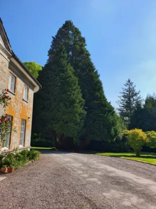 Photo of Assolas House, Kanturk, County Cork, P51 T954