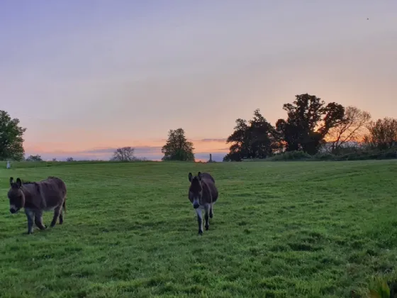 Photo of Assolas House, Kanturk, County Cork, P51 T954