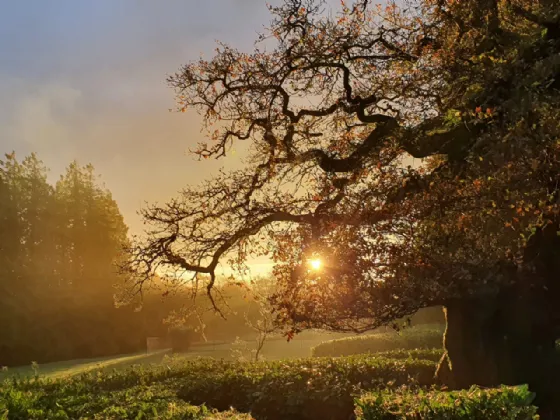 Photo of Assolas House, Kanturk, County Cork, P51 T954