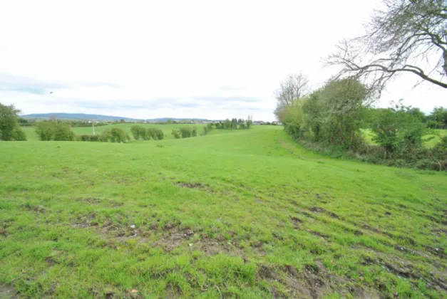 Photo of Approx. 3.22 Hectares/ 7.96 Acresan, Golden Grove Road, Roscrea, Co Tipperary