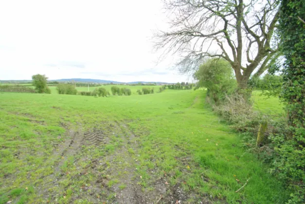 Photo of Approx. 3.22 Hectares/ 7.96 Acresan, Golden Grove Road, Roscrea, Co Tipperary