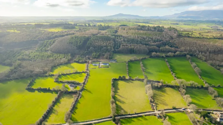 Photo of Lands 13.07 Acres, Coolnamuck, Carrick-On-Suir, Co. Tipperary