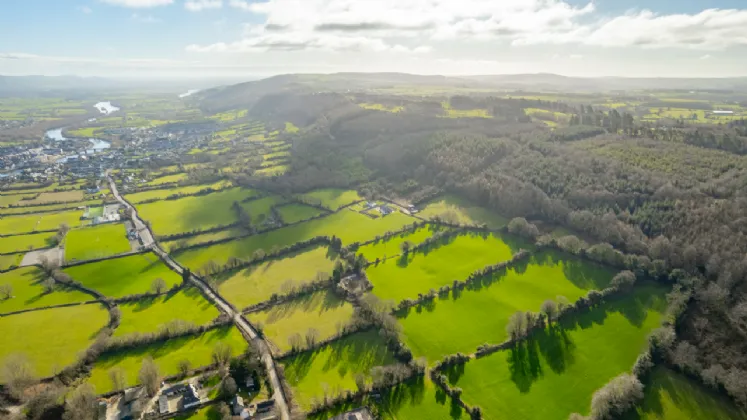 Photo of Lands 13.07 Acres, Coolnamuck, Carrick-On-Suir, Co. Tipperary