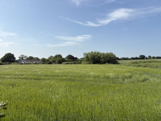 Photo of Residential Development Site (FPP), Walterstown, Castlebellingham, Co. Louth