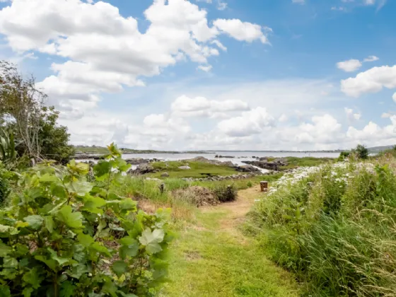 Photo of Bealadangan, Connemara, Co.Galway, H91 H1XK