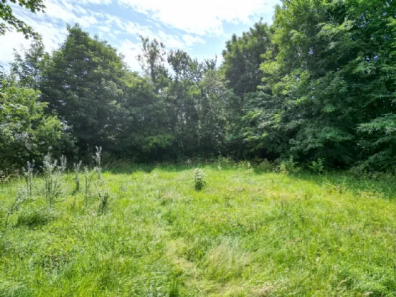 Photo of Donohill Cross,, Donohill,, Co. Tipperary, E34 WK75