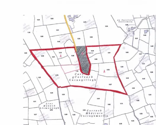 Photo of Cornagillagh Land, Cornagillagh, Drumsna, Carrick-On-Shannon, Co. Leitrim, N41 P8D9