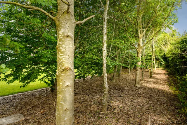 Photo of Ballycollin Upper, Kilcormac, Co Offaly, R42R729