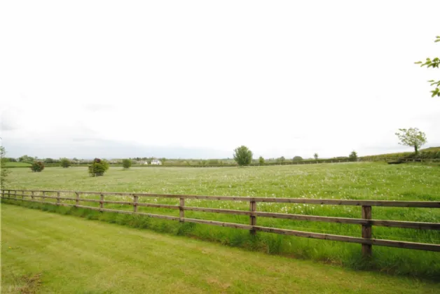 Photo of Rath House On Approx. 8.2 Acres, Ballygague, Ballacolla, Co Laois, R32 XE98