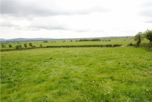 Photo of Rath House On Approx. 8.2 Acres, Ballygague, Ballacolla, Co Laois, R32 XE98