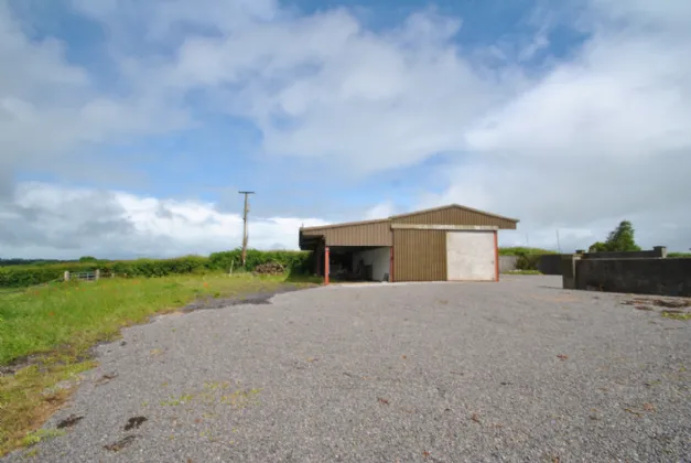 Photo of Rath House On Approx. 8.2 Acres, Ballygague, Ballacolla, Co Laois, R32 XE98