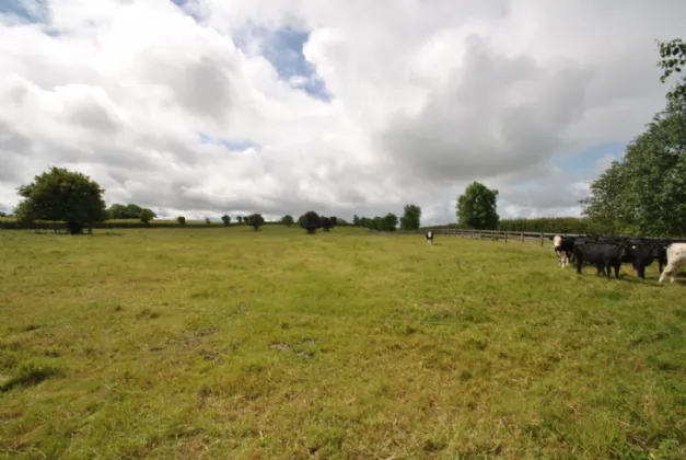 Photo of Rath House On Approx. 8.2 Acres, Ballygague, Ballacolla, Co Laois, R32 XE98