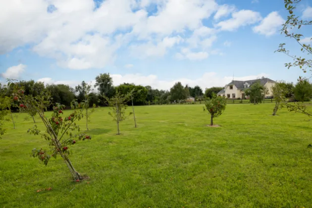 Photo of Clonganny, Ballygarrett, Co. Wexford, Y25X683