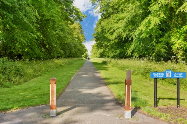 Photo of 29 Charter House, Maynooth, Co. Kildare, W23 CX31