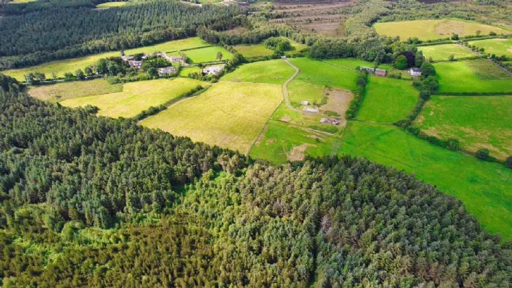 Photo of Blackwood Equestrian Centre, Derrymahon, Timahoe East, Co Kildare, W91 T2T3