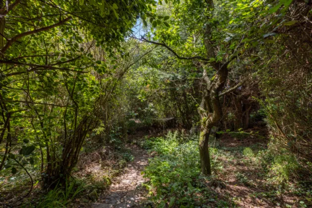 Photo of Ladhru, 49a Ardamine Court, Ardamine, Co. Wexford, Y25NX30