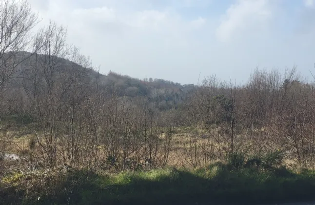 Photo of 13.44 Acres Of Land Carrowbaun, Carrowbaun, Westport, Co Mayo