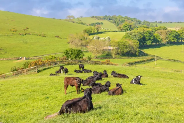 Photo of The Retreat, Lough Gur, Bruff, Co. Limerick, V35 NX96