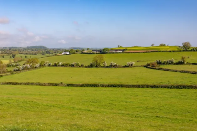 Photo of The Retreat, Lough Gur, Bruff, Co. Limerick, V35 NX96