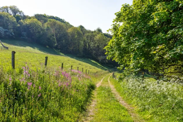 Photo of The Retreat, Lough Gur, Bruff, Co. Limerick, V35 NX96