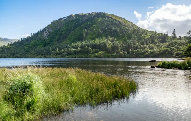 Photo of Clogherane, Lauragh Upper, Kenmare, Co Kerry, V93 Y681