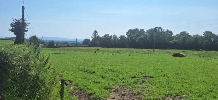 Photo of .75 Acre Site, Kilcarrig,, Bagenalstown,, Co. Carlow