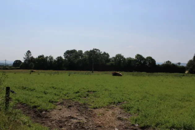 Photo of .75 Acre Site, Kilcarrig,, Bagenalstown,, Co. Carlow