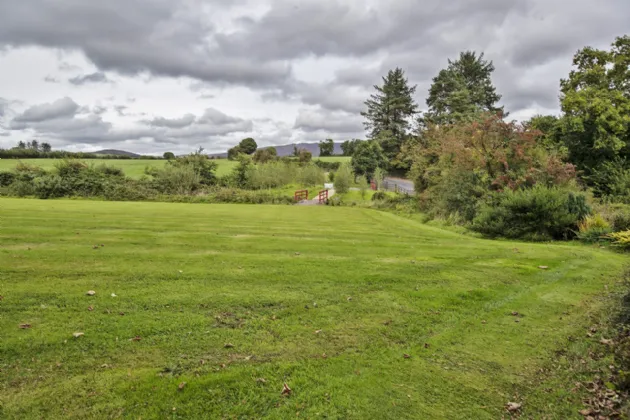 Photo of Lackendarra Larches, Ballinamult, Dungarvan, Co Waterford, E91V5W7