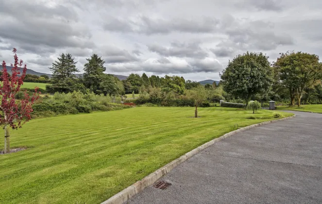 Photo of Lackendarra Larches, Ballinamult, Dungarvan, Co Waterford, E91V5W7