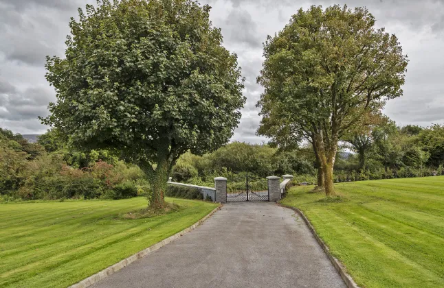 Photo of Lackendarra Larches, Ballinamult, Dungarvan, Co Waterford, E91V5W7