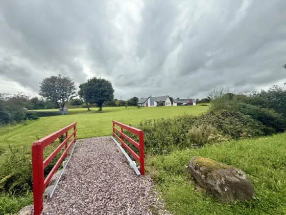 Photo of Lackendarra Larches, Ballinamult, Dungarvan, Co Waterford, E91V5W7
