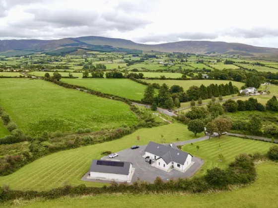 Photo of Lackendarra Larches, Ballinamult, Dungarvan, Co Waterford, E91V5W7