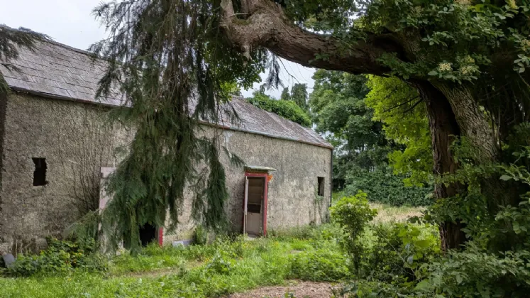 Photo of Cloonagh, Golden Grove, Roscrea, Co Tipperary, E53 FX61