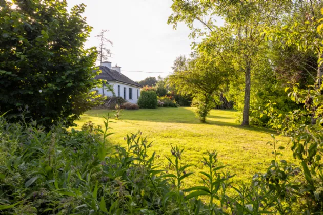 Photo of Woodlands, Caim, Enniscorthy, Co. Wexford, Y21C6X5