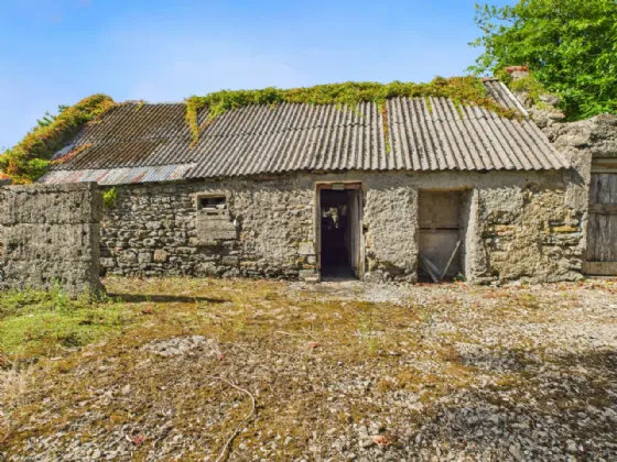 Photo of Cloonmoylan, Ballyshrule, Portumna, Co. Galway, H53 EY79