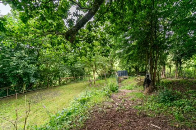 Photo of Beech Drive, Baltinglass West, Baltinglass, Co Wicklow, W91 P21F