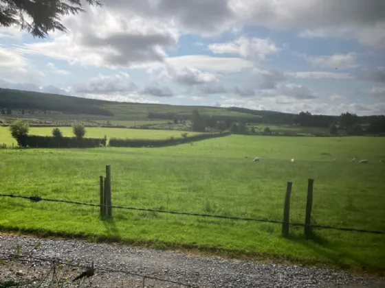 Photo of Ballinaguile, Kiltegan, Co. Wicklow, Chalet On 2.569 Acres, W91 T3F1