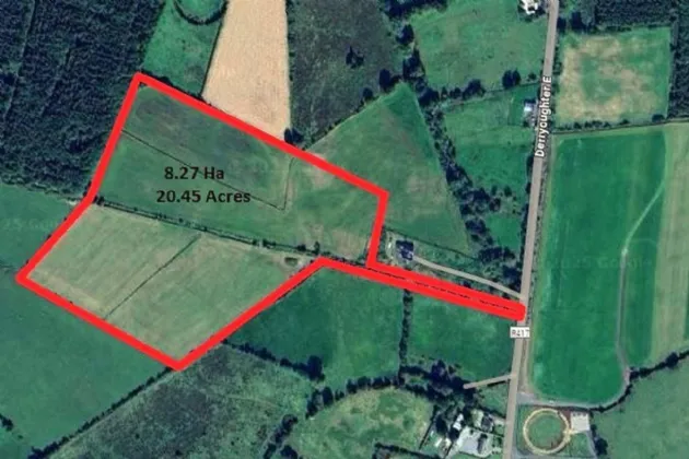 Photo of 20.45 Acres / 8.276 Hectares, Derryoughter East, Kildangan, Co. Kildare